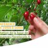 Base de connaissances Florelocale.fr - Webconférence de lancement, le 2 mai