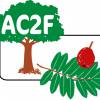 Nouveau site internet pour l'association Cormier Fruitier Forestier
