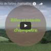 Vidéo "Rôles et Intérêts de l'arbre champêtre" - par Arbres et Paysages Tarnais