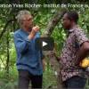 L'agroforesterie au Togo avec la Fondation Yves Rocher