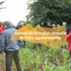 Journée de formation et d'échanges techniques - Afac-Agroforesteries
