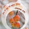 13ème Festival de la Haie du 13-19 novembre 2017 (79)
