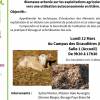 Biomasse arborée sur les exploitations agricoles, vers une utilisation autoconsommée en litière