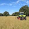 PictaGraine : démonstration du nouvel outil de récolte de graines locales - CREN Poitou-Charentes - le 11 juillet à Londigny (16)