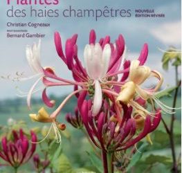 Nouvelle édition révisée de “Plantes des haies champêtres”