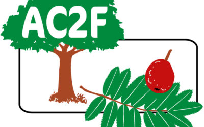 Nouveau site internet pour l’association Cormier Fruitier Forestier