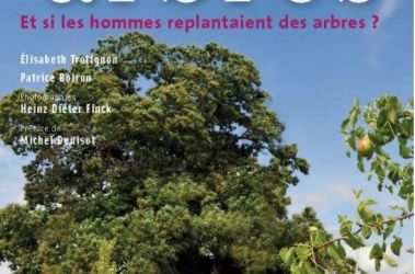 Livre : Une campagne pour les arbres – Et si les hommes replantaient des arbres ?