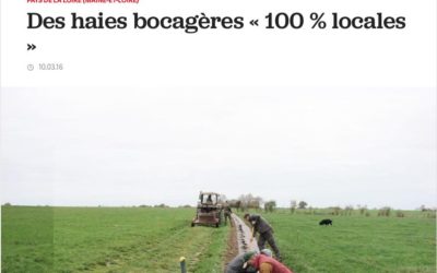 Article dans la France agricole sur la plantation de haies par Mission bocage