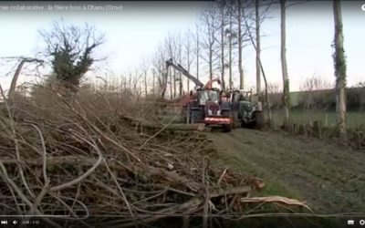 Reportage vidéo sur la filière Bois Bocage Energie dans l’Orne