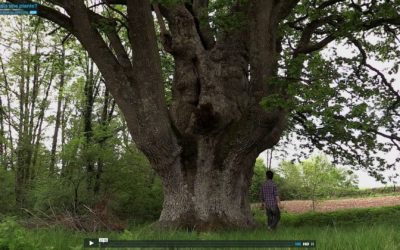 Film documentaire “Si j’étais une plante”