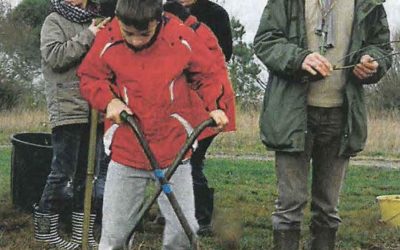Article dans Ouest-France : plantation d’une haie avec les enfants (44)