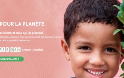 Offre de stage à la Fondation Yves Rocher – Plantons pour la Planète