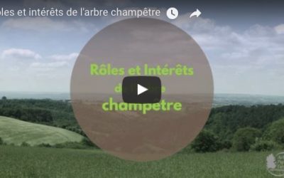 Vidéo “Rôles et Intérêts de l’arbre champêtre” – par Arbres et Paysages Tarnais