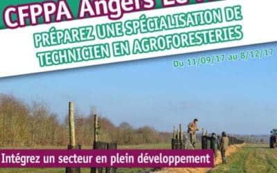 Nouvelle formation : Technicien en agroforesteries à Angers