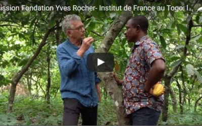 L’agroforesterie au Togo avec la Fondation Yves Rocher