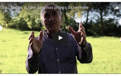 Vidéo “L’eau, l’arbre, la haie dans nos projets de territoire” par le CAUE de la Creuse, de la Corrèze et de la Haute-Vienne