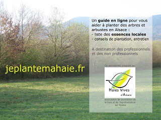 jeplantemahaie.fr : une base de donnÃ©es en ligne pour planter votre haie en Alsace