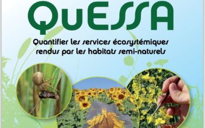 Brochure QueSSA – projet européen visant à quantifier les services écosystémiques rendus par les habitats semi-naturels