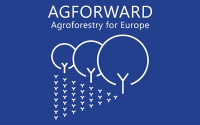 Restitution des résultats du projet Agforward à Bruxelles