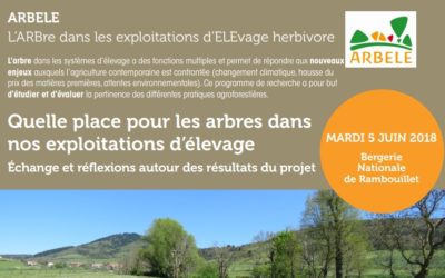Séminaire de présentation des résultats du projet ARBELE, le 5 juin à Rambouillet