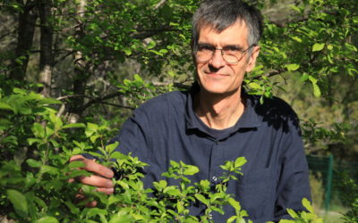 “Penser comme un arbre” rencontre avec le chercheur en écologie végétale Jacques Tassin
