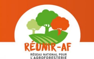 Lancement de REUNIR-AF et résultat de l’appel à candidature pour renforcer l’animation régionale