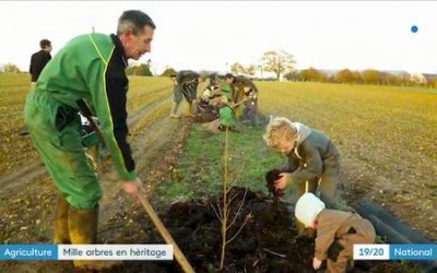 Reportage sur FR3, d’une plantation agroforestière à Azé en Mayenne