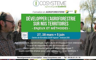 Formation Icosystème : Développer l’agroforesterie sur nos territoires – Enjeux et méthodes 🗓 🗺