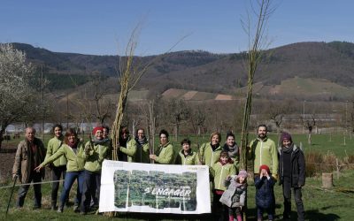 Plantation de haies pour la reconversion d’une ferme en agroécologie – Alsace