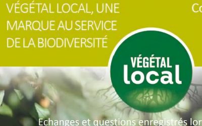 Replay de la conférence web : « Quels végétaux pour préserver la biodiversité ? »