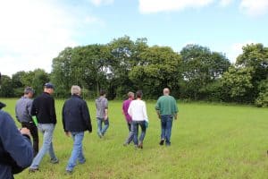 Lafac Agroforesteries Le Réseau Des Experts De Larbre - 