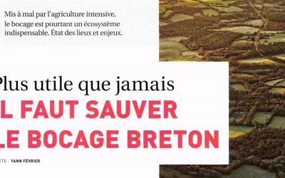 À lire : Il faut sauver le bocage breton – de Yann Février | Bretagne Magazine
