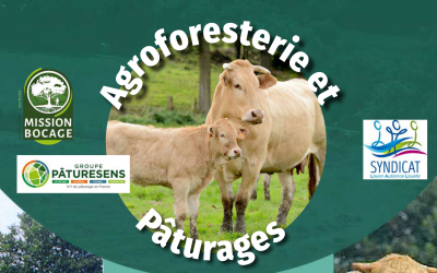 Journée technique : agroforesterie et pâturages – le 2 juillet à Lys-Haut-Layon (49) 🗓 🗺