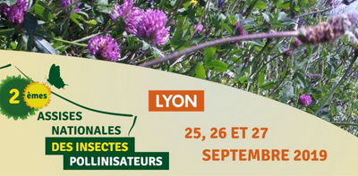 Assises nationales des insectes pollinisateurs | Arthropologia – du 25 au 27 septembre à Lyon 🗓 🗺