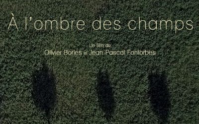À l’ombre des champs : un film-recherche sur l’agroforesterie qui fait du paysage un personnage