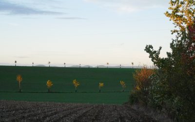 ZOOM SUR UN JURY LOCAL EN GRAND-EST : Concours des pratiques agro-écologiques – Agroforesterie 2021