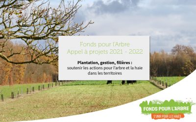 Fonds pour l’Arbre : publication de l’appel à projets 2021-2022 (anciennement programme Plantons en France)