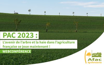 WEBCONFÉRENCE | PAC 2023 : l’avenir de l’arbre et la haie dans l’agriculture française se joue maintenant !