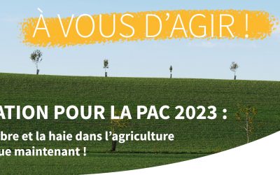 [Mobilisation] PAC 2023 : l’avenir de l’arbre et la haie dans l’agriculture française se joue maintenant