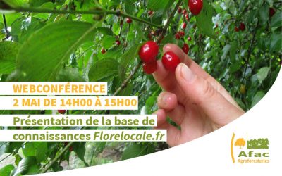 Base de connaissances Florelocale.fr – Webconférence de lancement, le 2 mai
