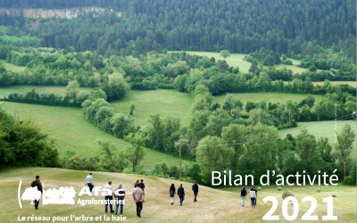 Un an de la vie de l’Afac-Agroforesteries : Rapport d’activité 2021 en ligne !