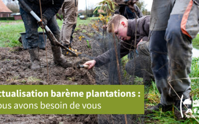 Actualisation barème plantations : nous avons besoin de vous