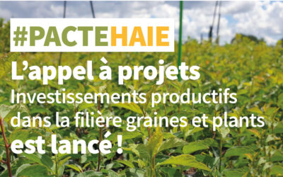 Lancement de l’appel à projets “Investissements productifs dans la filière graines et plants”