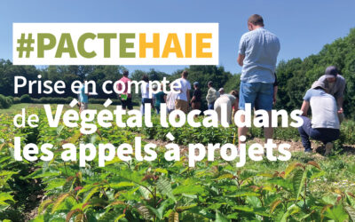 Prise en compte de la marque Végétal local dans les Appels à projets du Pacte en faveur de la haie