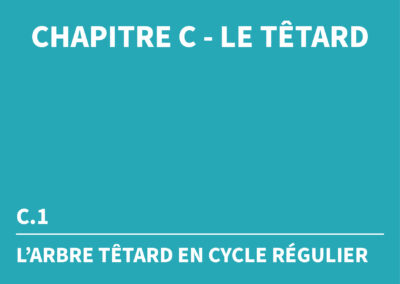 Chapitre C - C.1 L'arbre têtard en cycle régulier