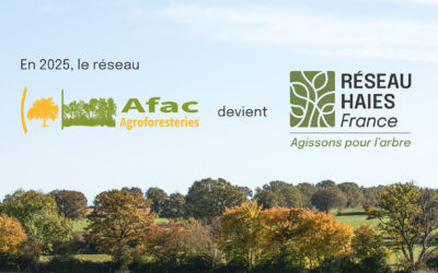 En 2025, l’Afac-Agroforesteries devient Réseau Haies France