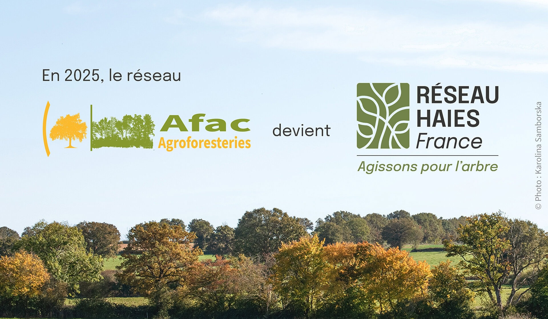 En 2025, l'Afac-Agroforesteries devient RÃ©seau Haies France 2