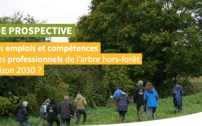 Participez à l’enquête “Besoins en emplois et compétences des professionnels de l’arbre hors-forêt”